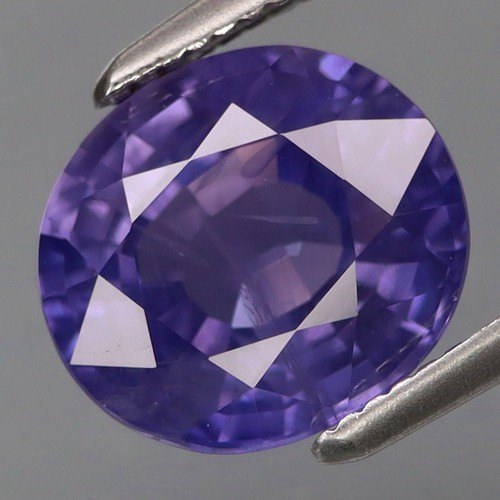 Violet oval sapphire held in tweezers